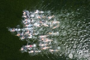 Pogoria Open Water