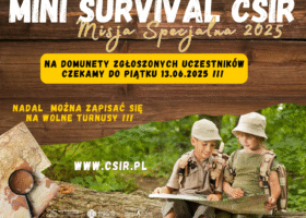 Plakat promujący Mini Survival