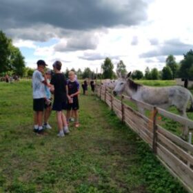 image000004(4)