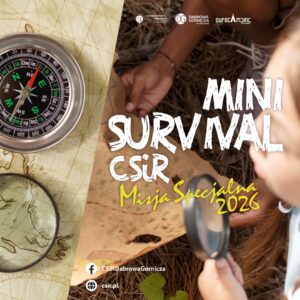 grafika promująca Mini Survival 2026